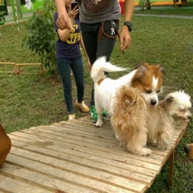 huanluyencho