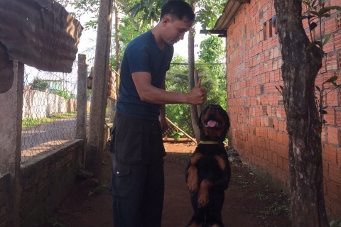 huấn luyện chó Rottweiler ngồi