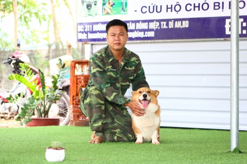 Chế độ dinh dưỡng và vận động cho chó cảnh khỏe mạnh