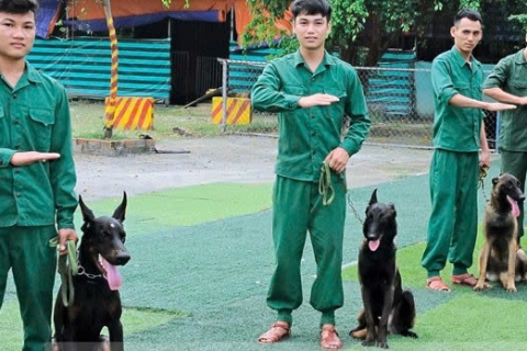 Cảnh Khuyển chuyên huấn luyện chó bảo vệ chủ