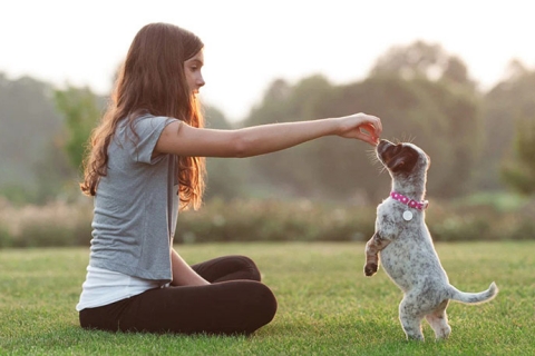 Nữ huấn luyện viên chó nghiệp vụ duy nhất trong lực lượng Cảnh sát