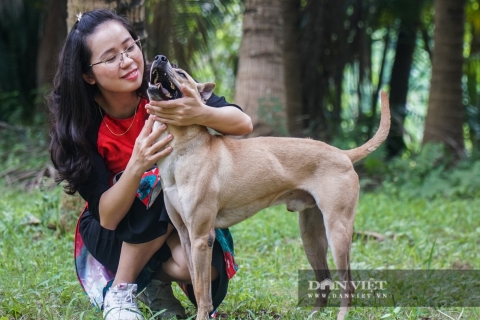 huấn luyện cho Phú quốc bảo vệ