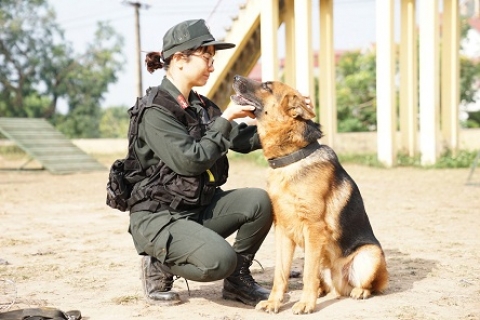huấn luyện chó Becgie ngồi làm quen