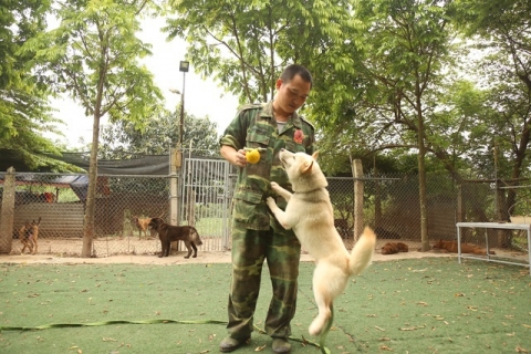 Trung tâm huấn luyện chó Đà Nẵng: Chuyên gia đào tạo chó hàng đầu