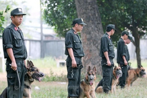 Trung tâm huấn luyện chó gần đây uy tín 