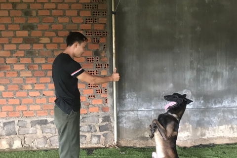 Bí quyết có một chú chó ngoan tại trung tâm huấn luyện chó TPHCM