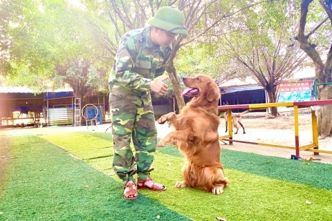 Trường huấn luyện chó Quy Nhơn - Địa chỉ, chi phí và cách đăng ký