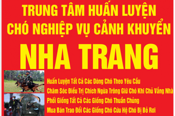 Huấn luyện chó nghiệp vụ Cảnh Khuyển